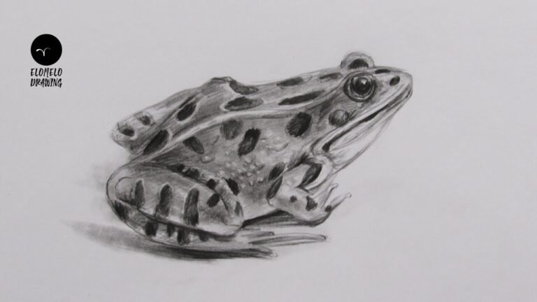 Sketch: 7ziqkivryto = Cute Frog Drawing